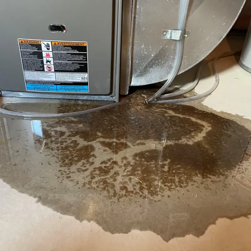 Appliance Leak Cleanup in Granville, WV