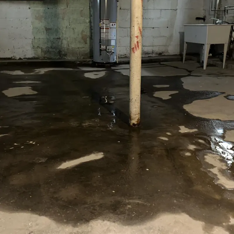 Emergency Water Extraction And Removal in Granville, WV